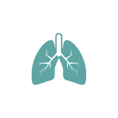 Erkrankungen der Lunge und der Atemwege (Pulmologie)