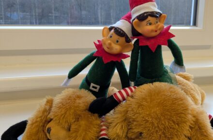 Elfentrubel am Pflegestützpunkt der Kinderreha Wildbad