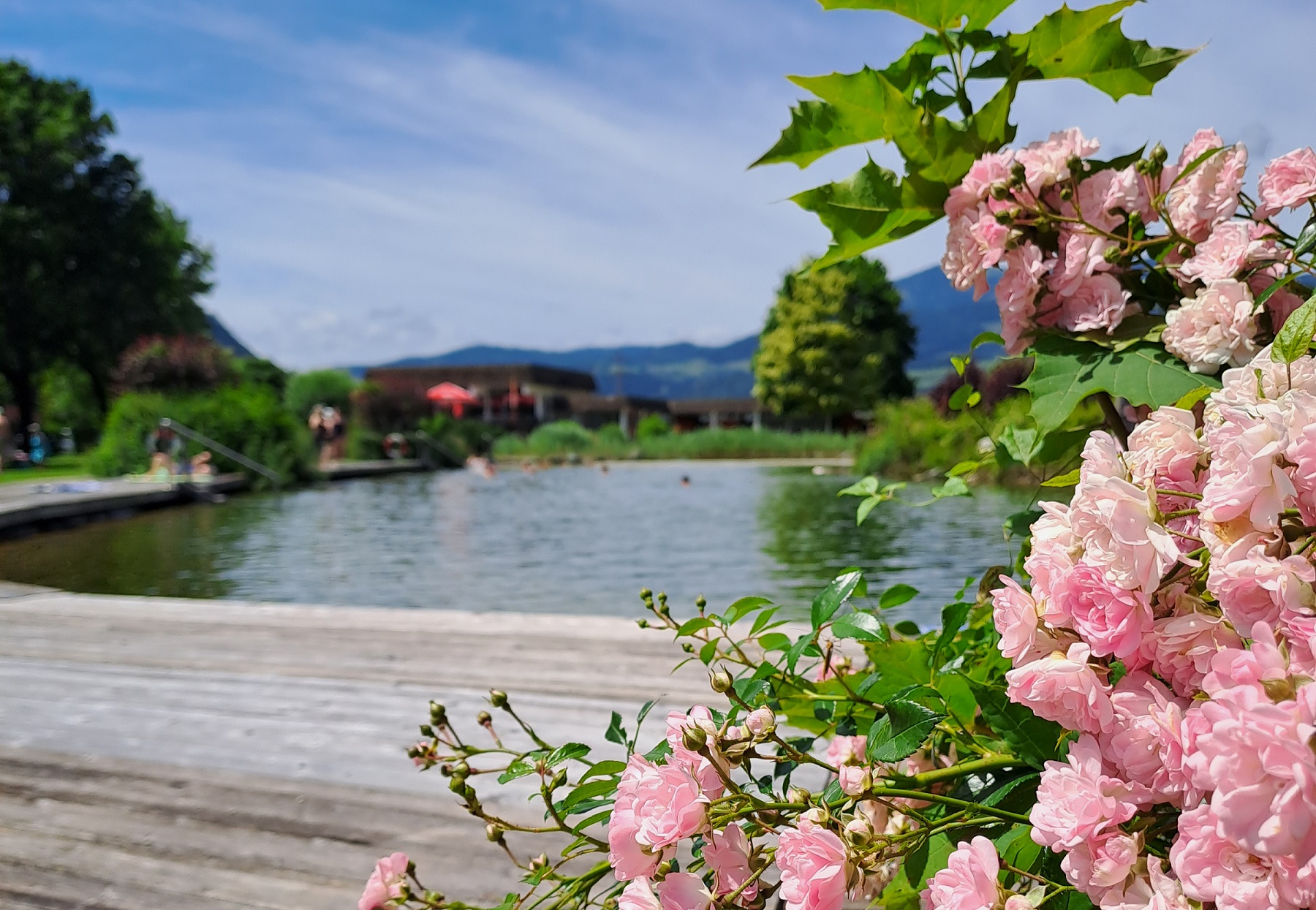 Kinder unternehmen Ausflug zum Badesee Kinder unternehmen Ausflug zum Badesee
